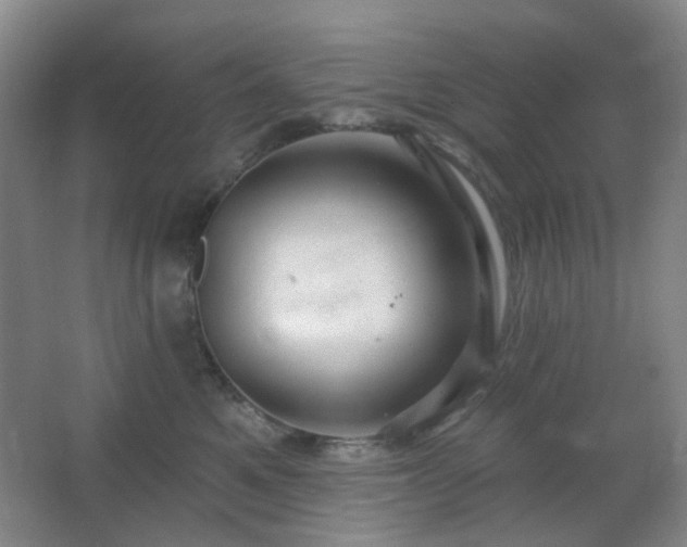 X0000066930521200603241119