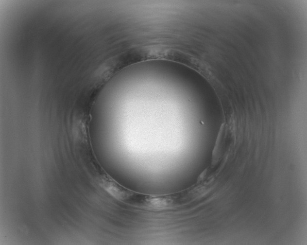 X0000066930522200603241119