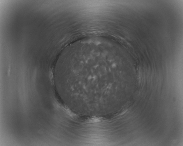 X0000066930523200603241119