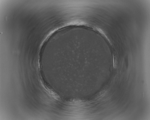 X0000066930531200603241118
