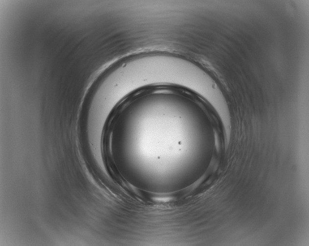 X0000066930536200603241118