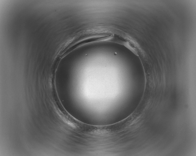 X0000066930537200603241118