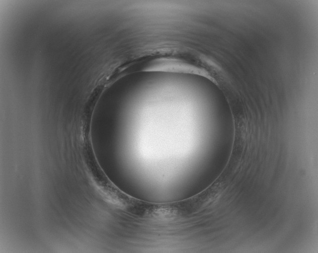 X0000066930546200603241119