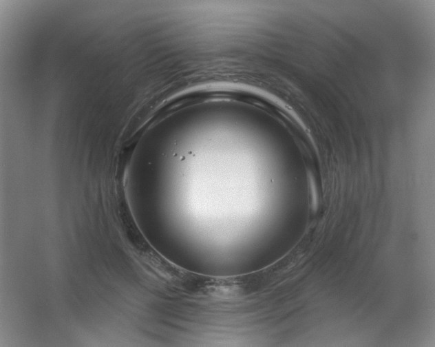 X0000066930552200603241119