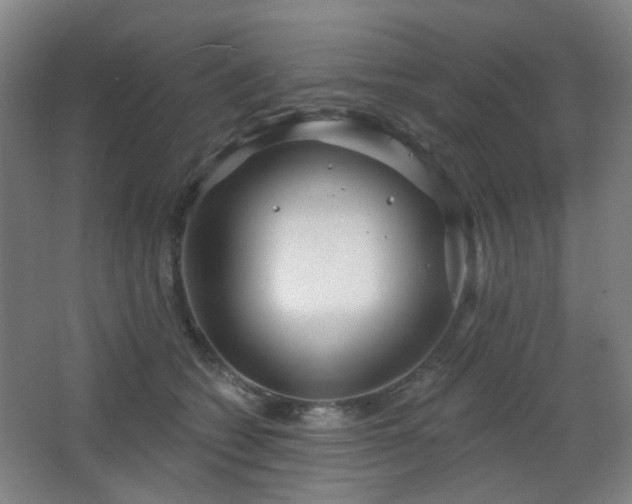 X0000066930562200603241119
