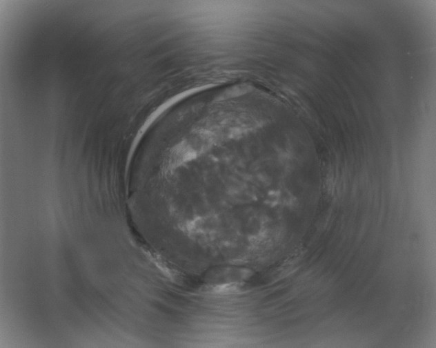 X0000066930569200603241119