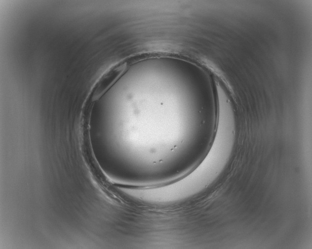 X0000066930580200603241118