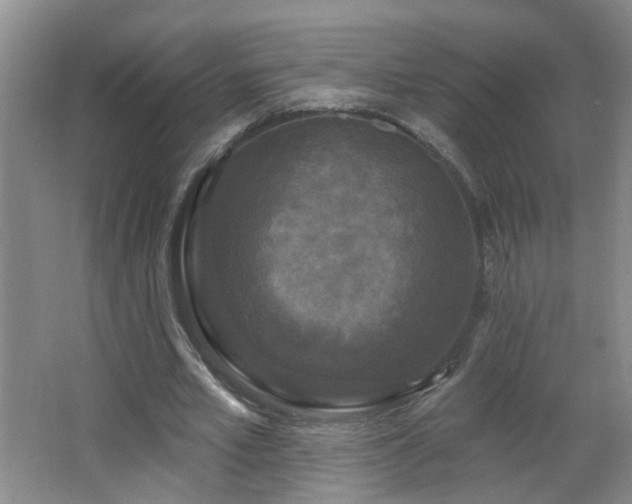 X0000066930581200603241118