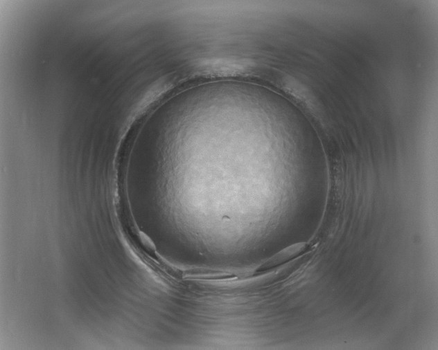 X0000066930582200603241118