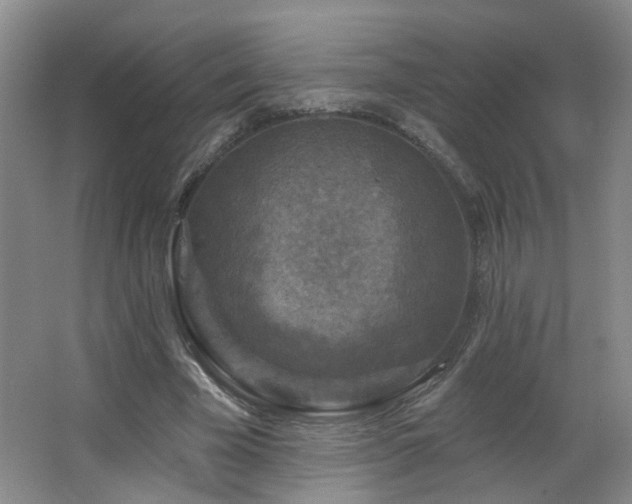 X0000066930585200603241118