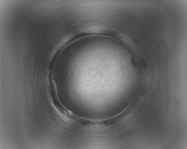 X0000066930586200603241118