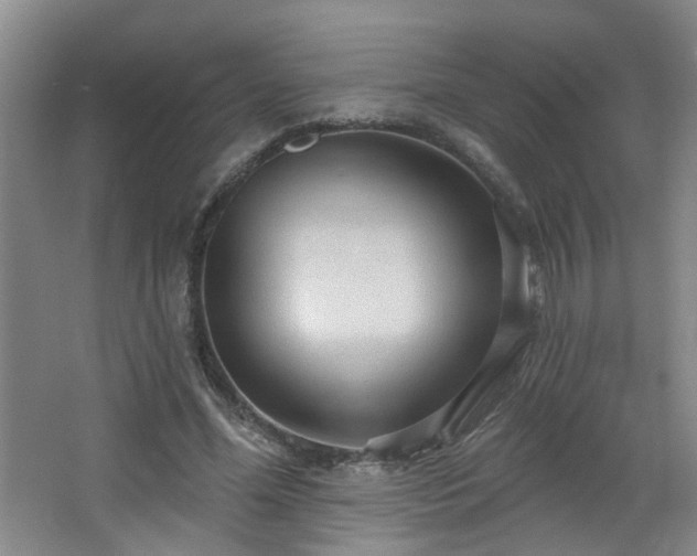 X0000066930588200603241118