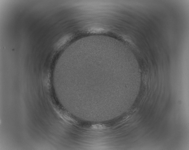 X0000066930591200603241118
