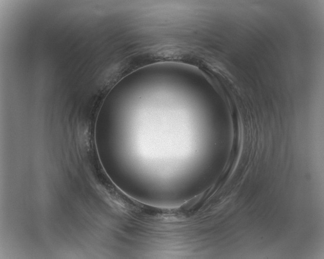 X0000066930597200603241118