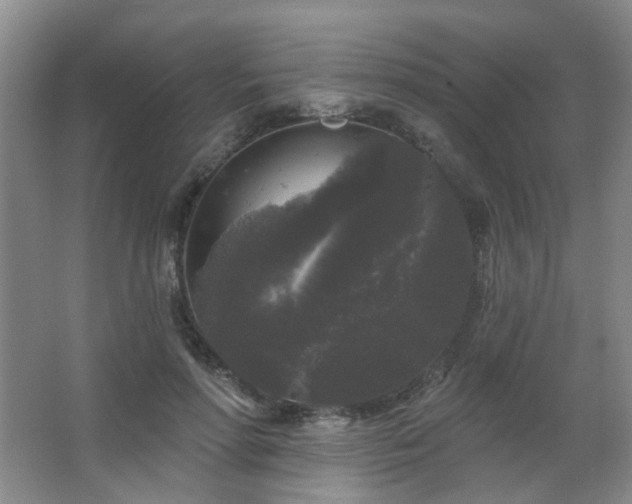 X0000066930598200603241118