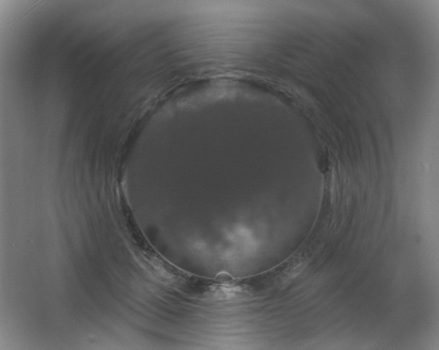 X0000066930607200603241118