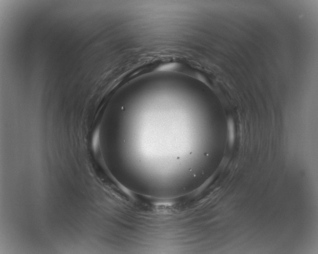 X0000066930608200603241118