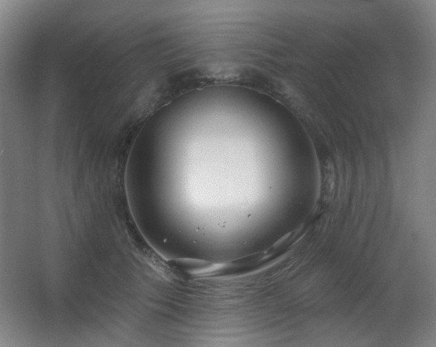 X0000066930609200603241118