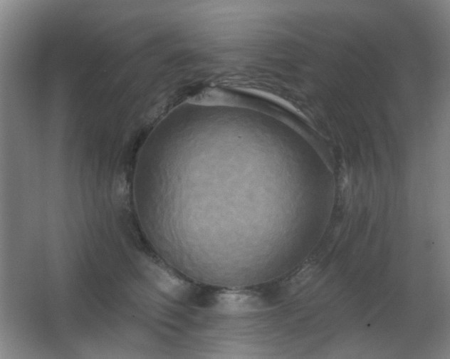 X0000066930614200603241118