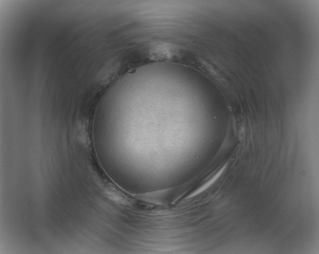 X0000066930616200603241118