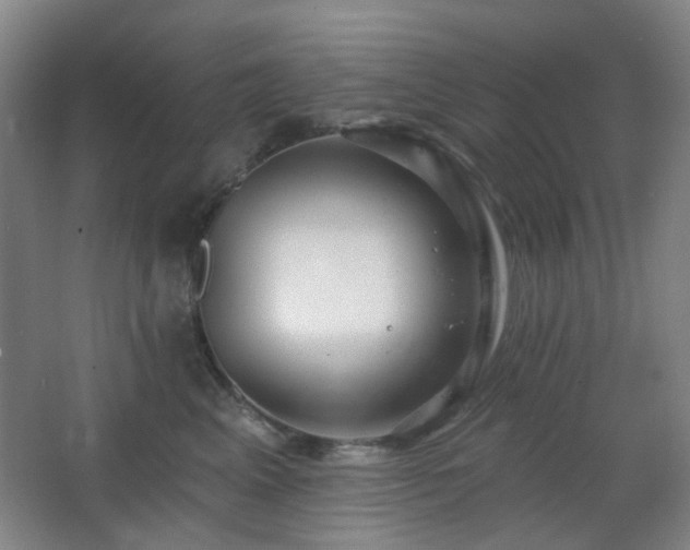 X0000066930617200603241118