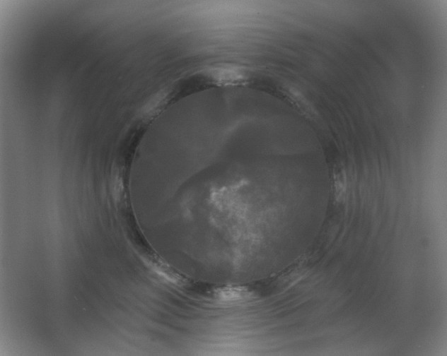 X0000066930618200603241118