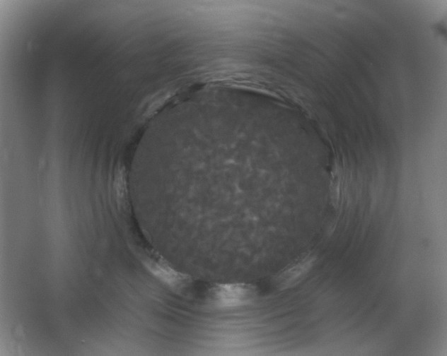 X0000066930623200603241117