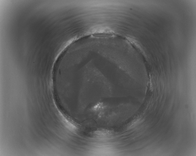 X0000066930630200603241117