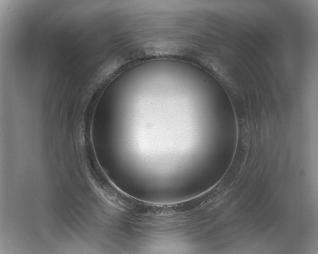 X0000066930631200603241117