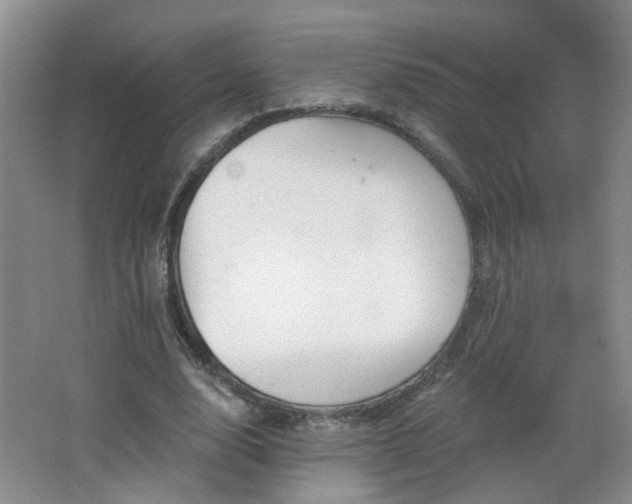X0000066930632200603241117