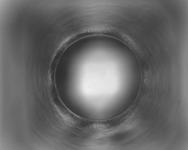 X0000066930636200603241117