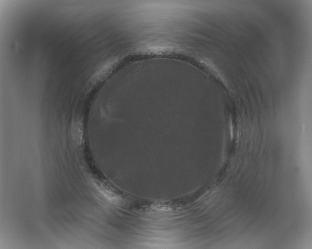 X0000066930640200603241117