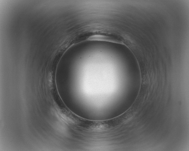 X0000066930646200603241117
