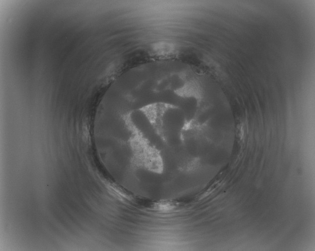 X0000066930662200603241117
