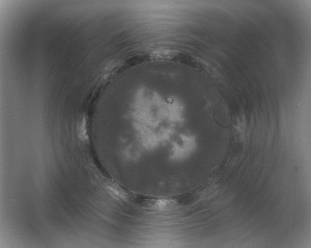 X0000066930663200603241117