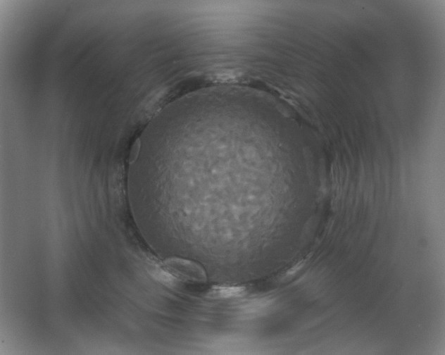X0000066930665200603241117