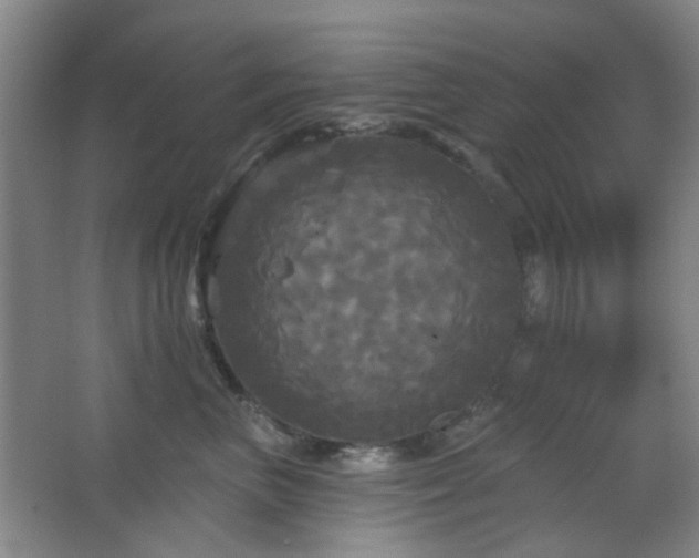 X0000066930667200603241117