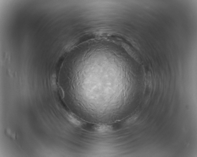 X0000066930670200603241117