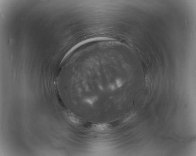 X0000066930671200603241117