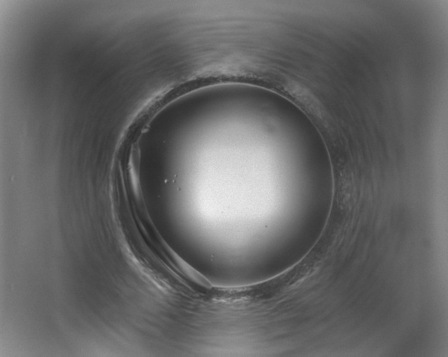 X0000066930680200603241117