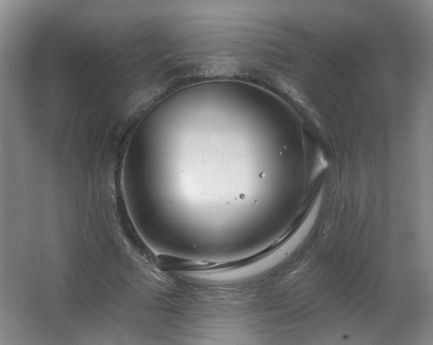 X0000066930681200603241116