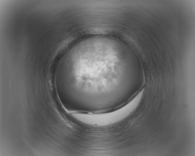 X0000066930688200603241116