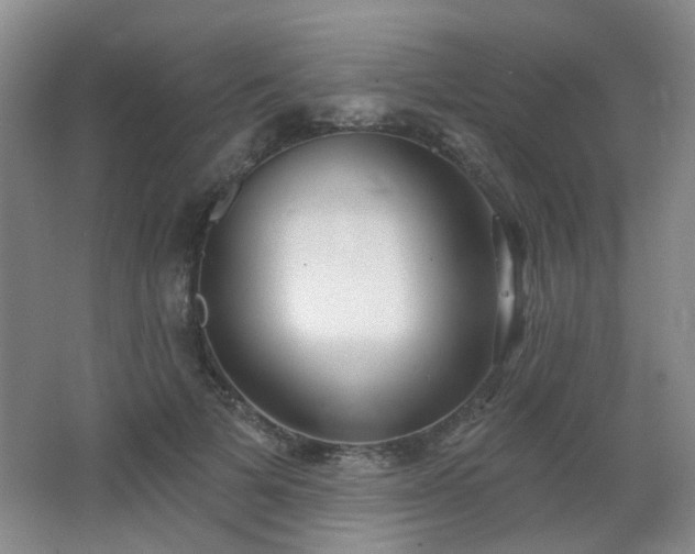 X0000066930697200603241116