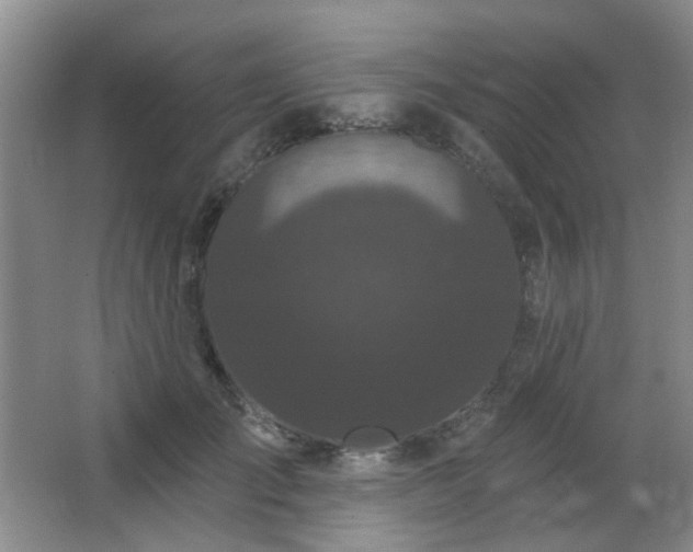 X0000066930701200603241116