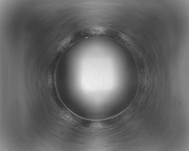 X0000066930704200603241116