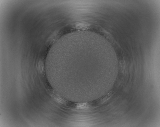 X0000066930705200603241116