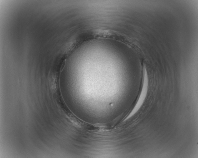 X0000066930708200603241116