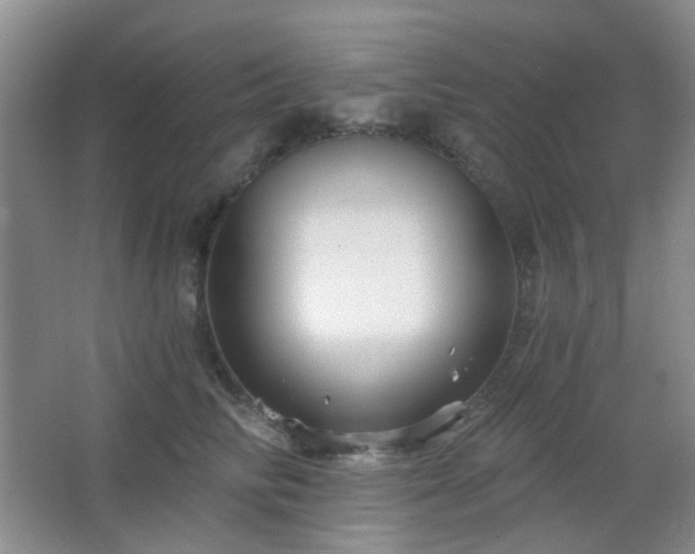 X0000066930710200603241116