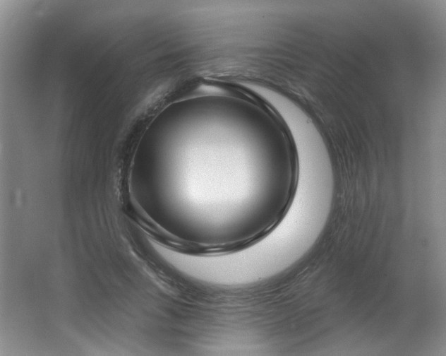 X0000066930735200603241115