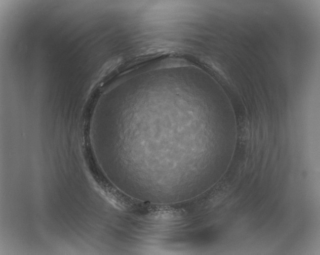 X0000066930738200603241115